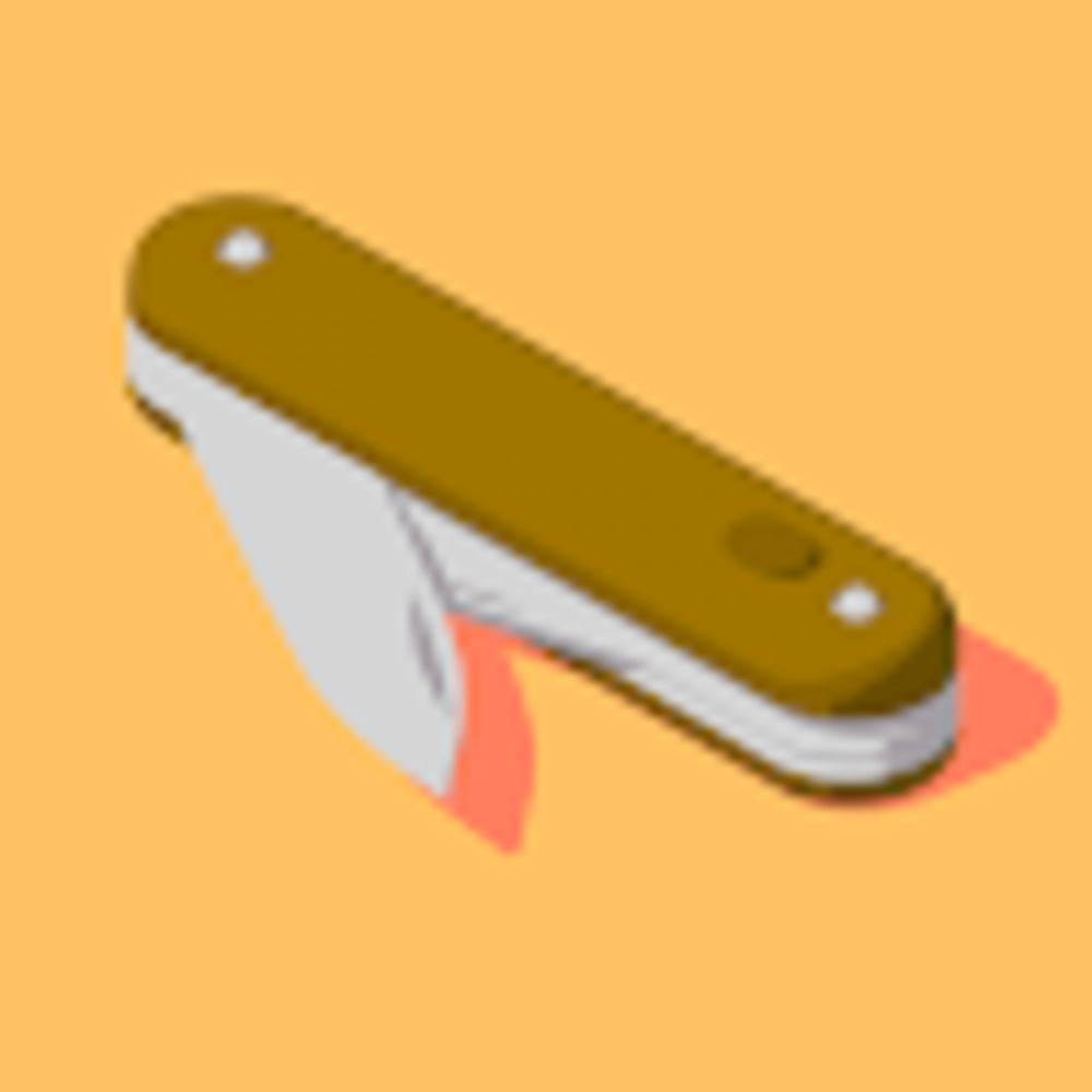 Meet your Posher, Abby